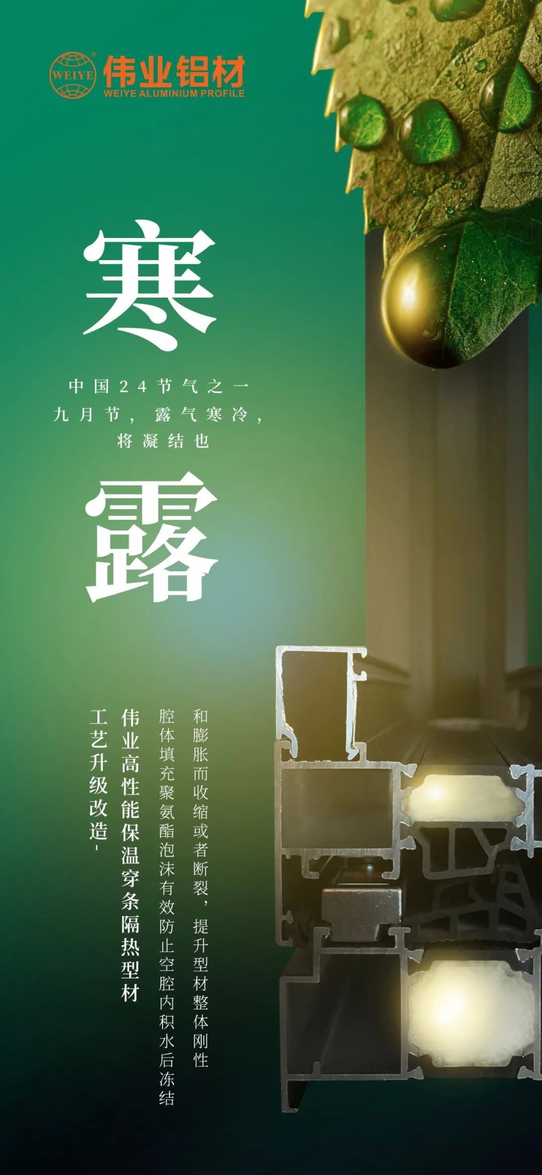 #寒露 九月節(jié)，露氣寒冷，將凝結(jié)也 時(shí)光入深秋，歲月便深情